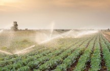 Farmland Irrigation