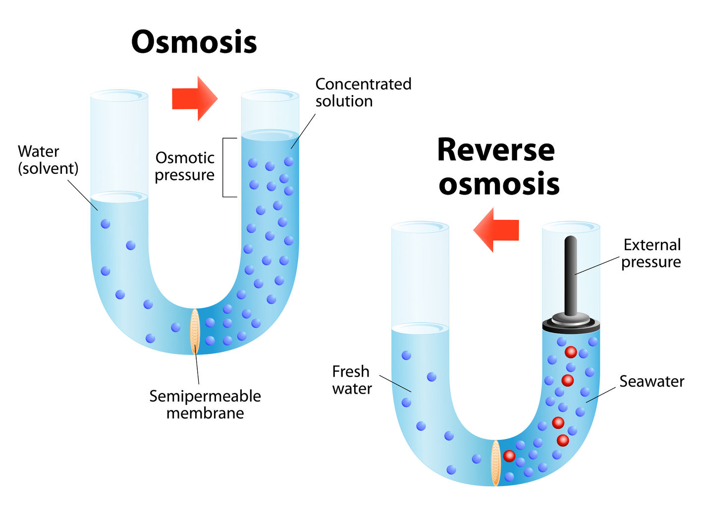 Procesos de Membrana de Purificación de Agua Ósmosis Inversa