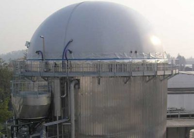 Wastewater and Waste-to-Energy for Candied Fruit Manufacturer