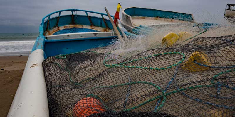 Water Issues in the Seafood Industry