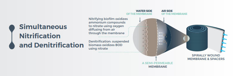 Biofilm Streamlines Wastewater Treatment