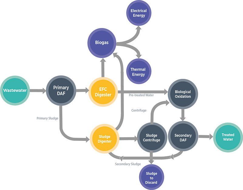 WtE Treatment Process for Candid Fruit Wastewater