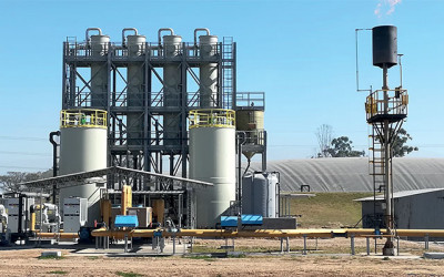 Biogas Desulfurization Plant for Citrus Processor