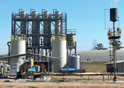 Planta de Desulfuración de Biogás para Procesador de Cítricos