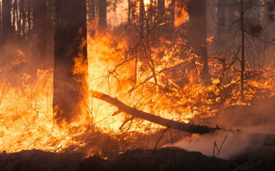 Wildfire’s Effects on Water