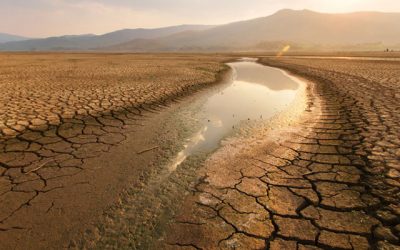 Drought Diminishes Not Just Water Quantity, but Quality
