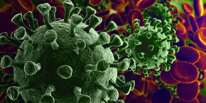 Close-Up of Coronavirus in Microscope