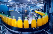Conveyor Belt With Bottles in Beverage Factory