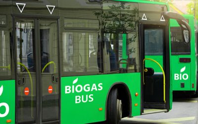 Biogas and Biomethane’s Roles in a Circular Economy