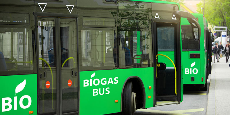 City Buses Powered by Biogas