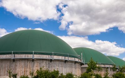 More Industries, Regions Discovering Power of Anaerobic Digestion
