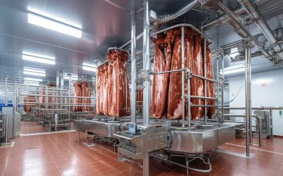 How Should the EPA’s Meat and Poultry Products Effluent Guidelines Be Changed?