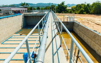 Guide to Water Regulators and Priorities by State