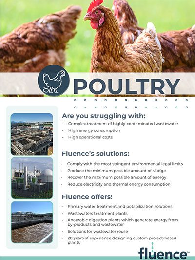 Poultry