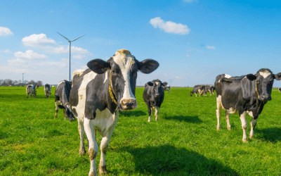 Slashing OPEX With Energy-Neutral Wastewater Treatment