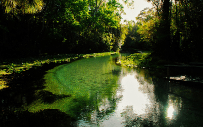 Meeting Florida’s Water Challenges With Containerized Treatment