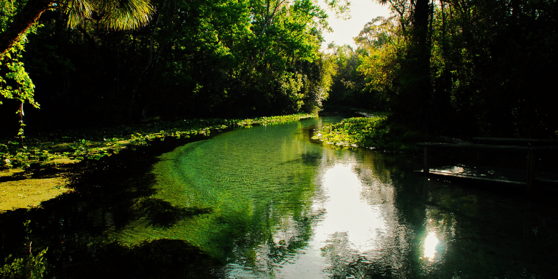 Rock Springs Near Orlando, Florida