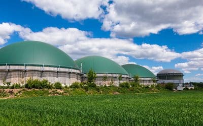 Maximizing Anaerobic Digestion Performance