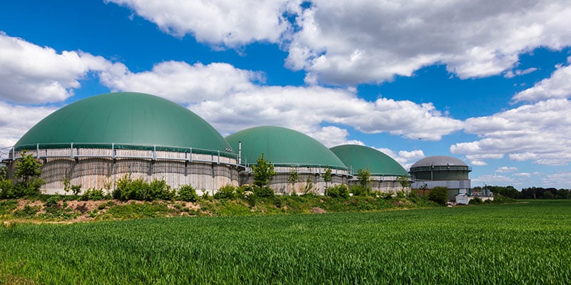 A Line of Anaerobic Digesters in a Green Field