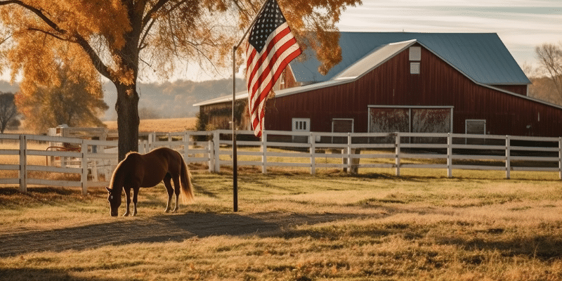 Horse Grazing in Field Near Barn and American Flag