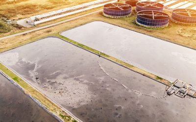 Lagoon Upgrades vs. New Plants: How Utilities and Public Works Compare Risk, Cost, and Timelines