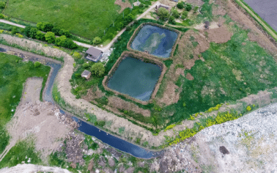 Why Traditional Aeration Is the Most Expensive Part of Lagoon Compliance